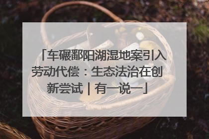 车碾鄱阳湖湿地案引入劳动代偿：生态法治在创新尝试｜有一说一
