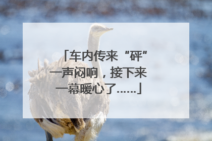 车内传来“砰”一声闷响，接下来一幕暖心了……