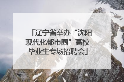 辽宁省举办“沈阳现代化都市圈”高校毕业生专场招聘会