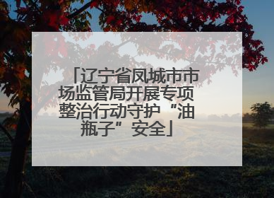 辽宁省凤城市市场监管局开展专项整治行动守护“油瓶子”安全