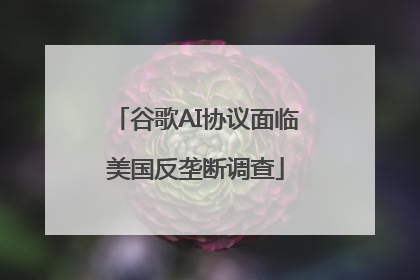 谷歌AI协议面临美国反垄断调查