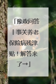 豫政问答丨事关养老保险病残津贴！解答来了→