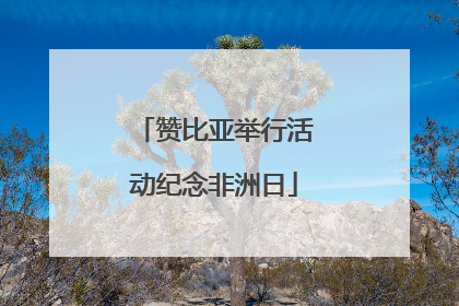 赞比亚举行活动纪念非洲日