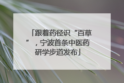 跟着药径识“百草”，宁波首条中医药研学步道发布