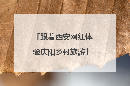 跟着西安网红体验庆阳乡村旅游