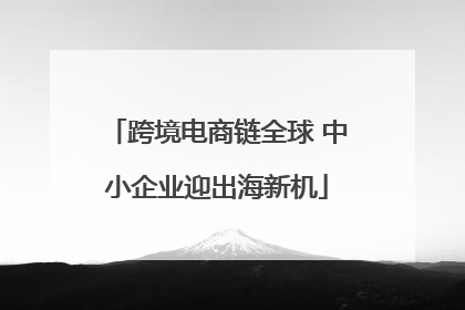 跨境电商链全球 中小企业迎出海新机