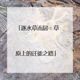逐水草而居：草原上的迁徙之路