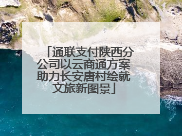 通联支付陕西分公司以云商通方案助力长安唐村绘就文旅新图景