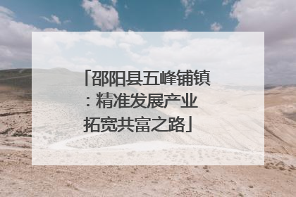 邵阳县五峰铺镇：精准发展产业 拓宽共富之路