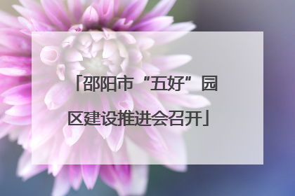 邵阳市“五好”园区建设推进会召开