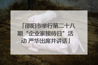 邵阳市举行第二十八期“企业家接待日”活动 严华出席并讲话