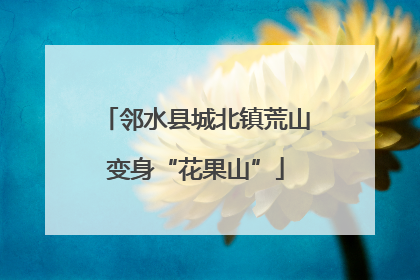 邻水县城北镇荒山变身“花果山”