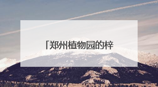 郑州植物园的梓树结“豆角”了