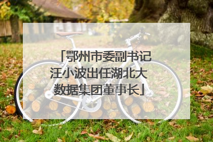 鄂州市委副书记汪小波出任湖北大数据集团董事长
