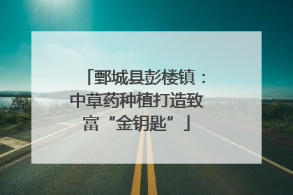 鄄城县彭楼镇：中草药种植打造致富“金钥匙”