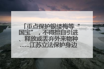 重点保护银缕梅等“国宝”，不得擅自引进、释放或丢弃外来物种……江苏立法保护身边的生物“朋友圈”