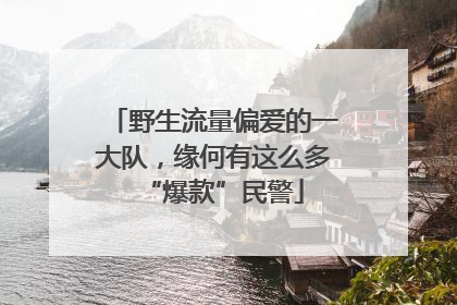 野生流量偏爱的一大队，缘何有这么多“爆款”民警