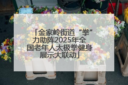 金家岭街道“拳”力助阵2025年全国老年人太极拳健身展示大联动