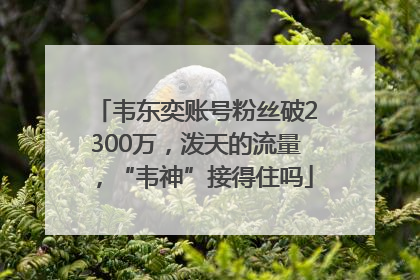 韦东奕账号粉丝破2300万，泼天的流量，“韦神”接得住吗