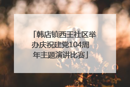 韩店镇西王社区举办庆祝建党104周年主题演讲比赛