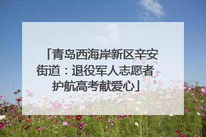 青岛西海岸新区辛安街道：退役军人志愿者护航高考献爱心