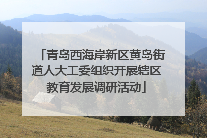 青岛西海岸新区黄岛街道人大工委组织开展辖区教育发展调研活动