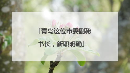 青岛这位市委副秘书长，新职明确