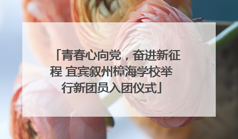 青春心向党，奋进新征程 宜宾叙州樟海学校举行新团员入团仪式