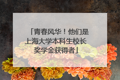 青春风华！他们是上海大学本科生校长奖学金获得者