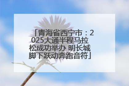 青海省西宁市：2025大通半程马拉松成功举办 明长城脚下跃动奔跑音符