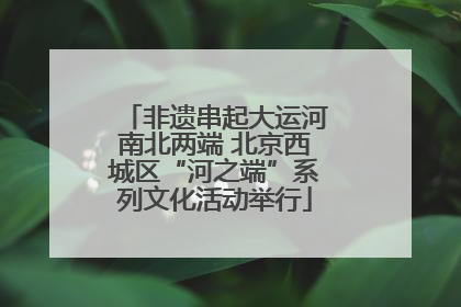 非遗串起大运河南北两端 北京西城区“河之端”系列文化活动举行