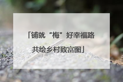 铺就“梅”好幸福路 共绘乡村致富图