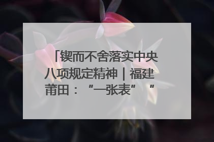 锲而不舍落实中央八项规定精神｜福建莆田：“一张表”“一张图”为基层减轻“数字负担”