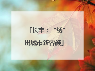 长丰：“绣”出城市新容颜