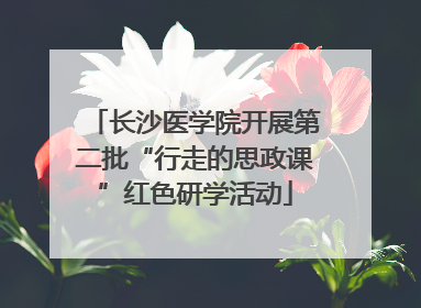 长沙医学院开展第二批“行走的思政课”红色研学活动