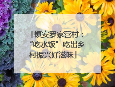 镇安罗家营村：“吃水饭”吃出乡村振兴好滋味