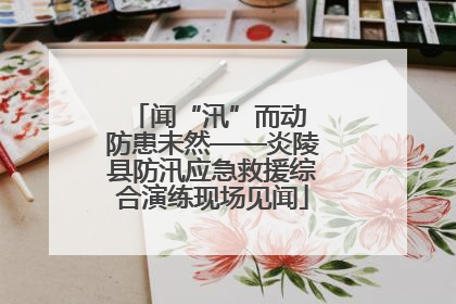 闻“汛”而动 防患未然——炎陵县防汛应急救援综合演练现场见闻