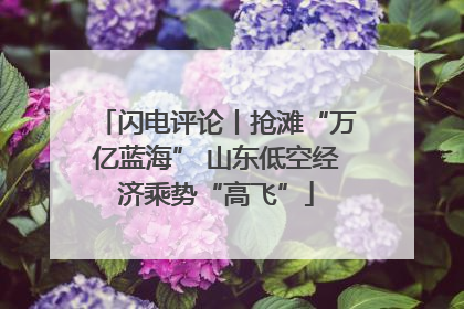 闪电评论丨抢滩“万亿蓝海” 山东低空经济乘势“高飞”