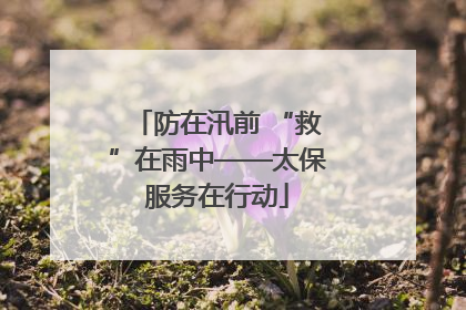 防在汛前 “救”在雨中——太保服务在行动