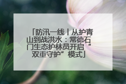 防汛一线丨从护青山到战洪水：常德石门生态护林员开启“双重守护”模式
