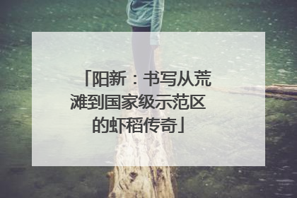 阳新：书写从荒滩到国家级示范区的虾稻传奇