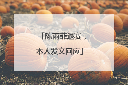 陈雨菲退赛，本人发文回应