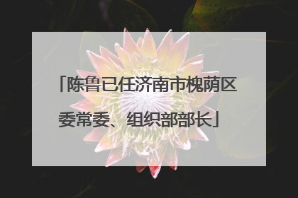 陈鲁已任济南市槐荫区委常委、组织部部长