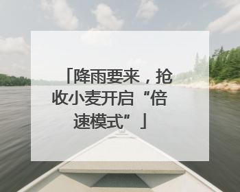降雨要来，抢收小麦开启“倍速模式”