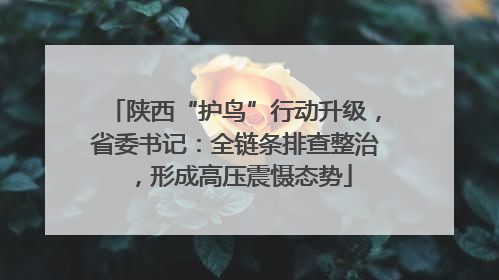 陕西“护鸟”行动升级，省委书记：全链条排查整治，形成高压震慑态势