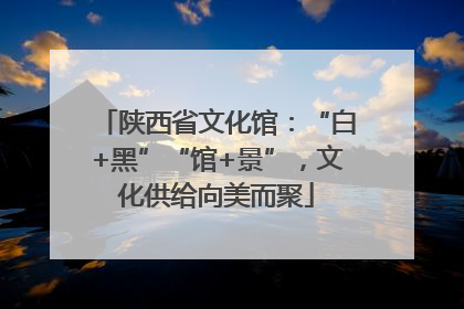 陕西省文化馆：“白+黑”“馆+景”，文化供给向美而聚