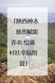 陕西神木：慈善赋能养老 绘就村社幸福图景