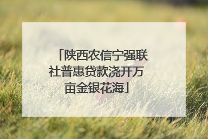 陕西农信宁强联社普惠贷款浇开万亩金银花海