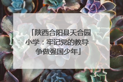 陕西合阳县天合园小学：牢记党的教导 争做强国少年