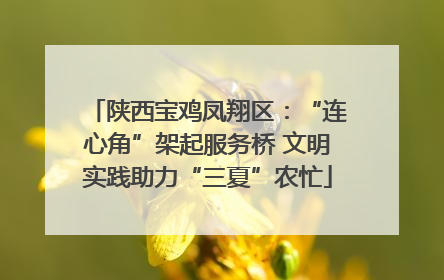 陕西宝鸡凤翔区：“连心角”架起服务桥 文明实践助力“三夏”农忙